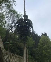 TC-Gartenbau Bild 5