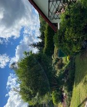 Haus- und Gartenservice - Mittelfranken Pavel Vostarek Bild 2