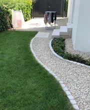 Strauß Willi Bild 5