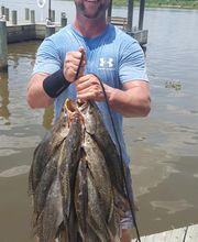 Southern Salt Outdoors image 18