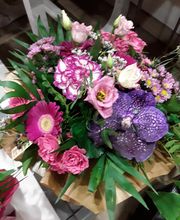 La Tulipe Noire image 11