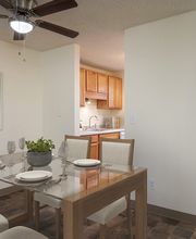 Birchcreek Apartments image 6
