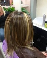 Gallery Cliente