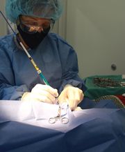 Short Pump Animal Hospital image 15