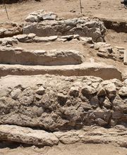 IN SITU SCP imagen 2