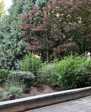 Cabinet De Shiatsu image 12