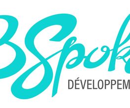 BSPOKE image 1