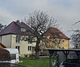 20241213_120927.jpg