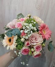 Nymphea Fleurs image 11