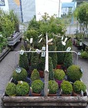 Bricomarché Commercy image 9