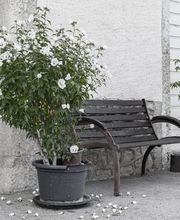 Home médicalisé du Val-de-Ruz et foyer de jour de Landeyeux Bild 2