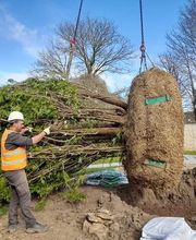 Parcs & Jardins LEZ image 4