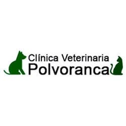 Clínica-Veterinaria-Polvoranca.jpg