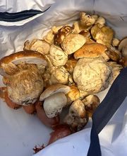 Restaurant Milano Bild 3