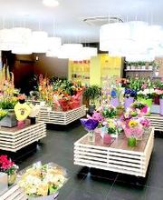 Carrément Fleurs - Fleuriste Sainte-Eulalie Bordeaux 33 - Livraison de fleurs à domicile image 9