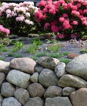 Walter Schmitz Gärten für Auge und Seele Bild 12