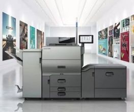 Gallery Cliente