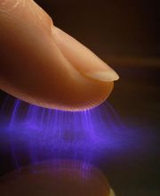 Wiesendanger Brigitte Bild 1