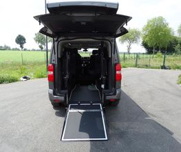Lenoir Handi Concept image 6