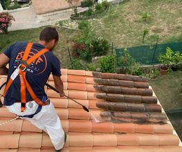 Batif image 2