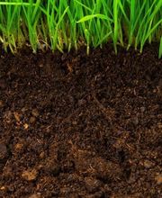 AgriZen imagen 5