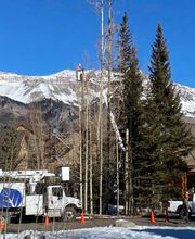 Aspen Tree Service - SavATree image 7