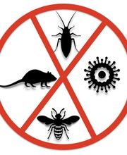 LM Nuisibles image 5