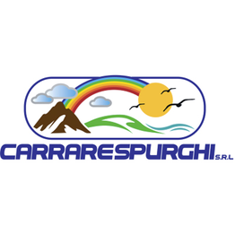 Carrare Spurghi logo