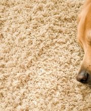 Floor & Care GmbH Bild 5