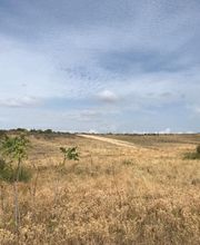 VGP Gestión Patrimonial imagen 1