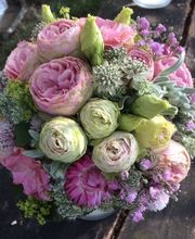 Blumen Vergissmeinnicht Bild 4