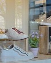 BESSEC LE HAVRE image 5