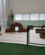 Gallery Cliente