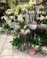 Blumengeschäft Efeulaube Bild 6