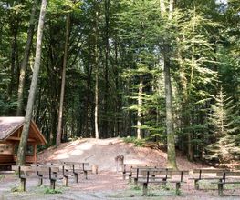 FriedWald Cloppenburg Bild 9