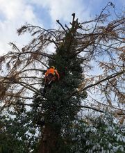 Baum & Garten OH Bild 2