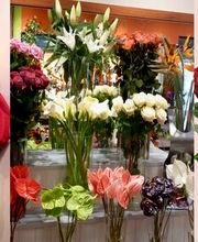 Fleurs et Nuances image 3