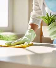 Carmen Rodriguez Reinigungsservice KLG Bild 5