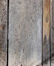 Abando Desinfecciones imagen 2