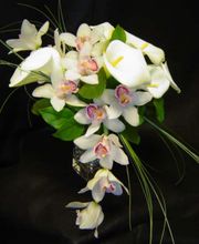 Díaz Floristas imagen 12