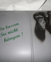 KFZ & Lackiertechnik Maier Bild 17