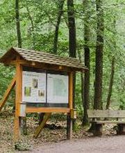 FriedWald Kirchheimbolanden Bild 2