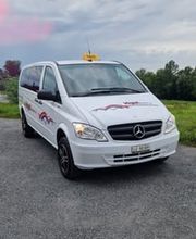 Carreisen + Taxi Vogel Bild 1