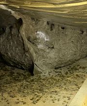 Gandolfi Frédéric image 6