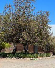 Jacobs Berry Farm image 2