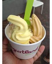 Yogurtland Belmont Shore image 4