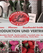 Arnold Steffen Bild 1