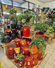 POINT VERT VALCADIS FRANCHISÉ INDÉPENDANT image 6