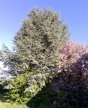 IMG_20260430_081033.jpg