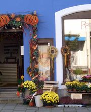 Blumen Rosenrot Bild 2